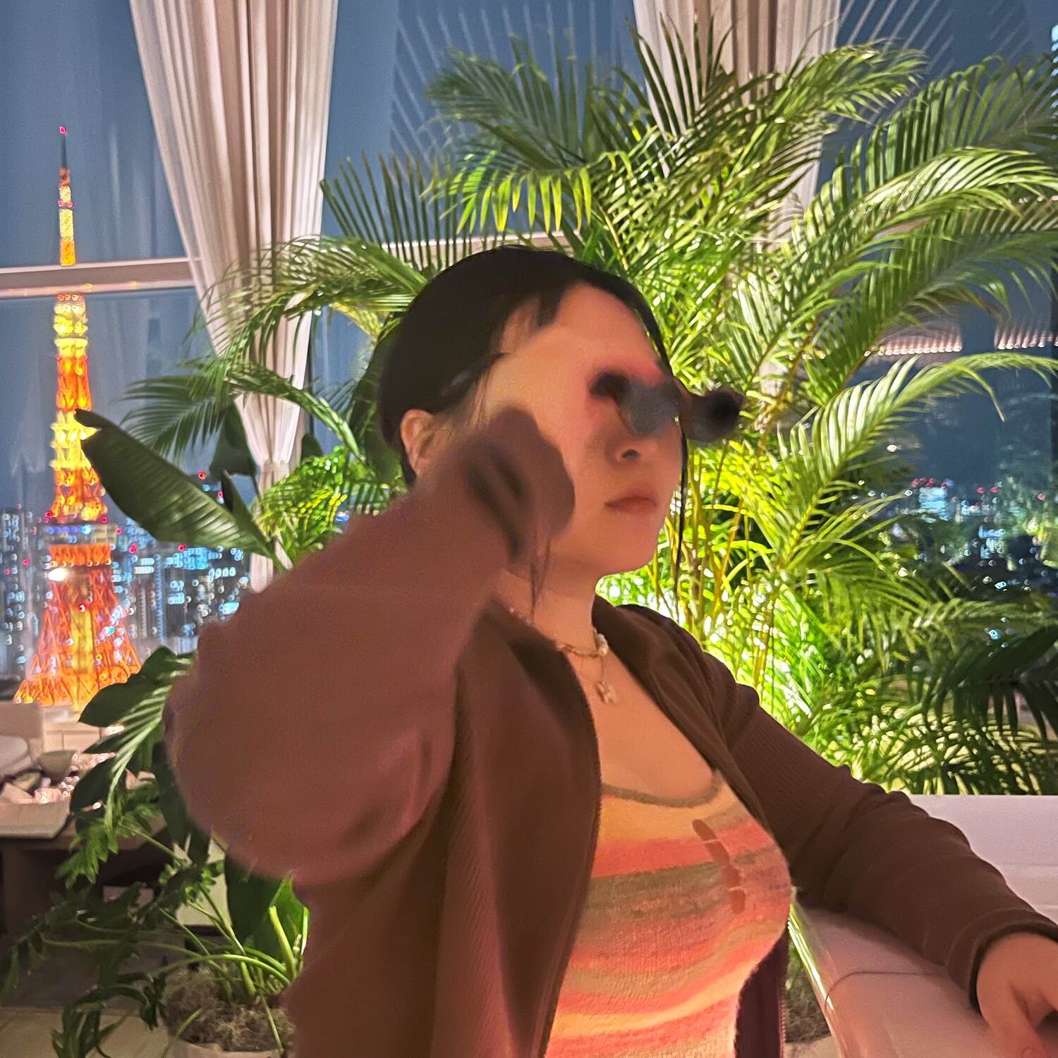 🇯🇵 Japan