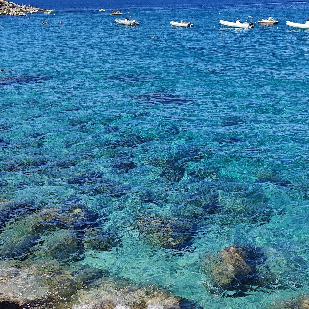 Isola d'Elba estate 2022