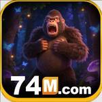 74m org