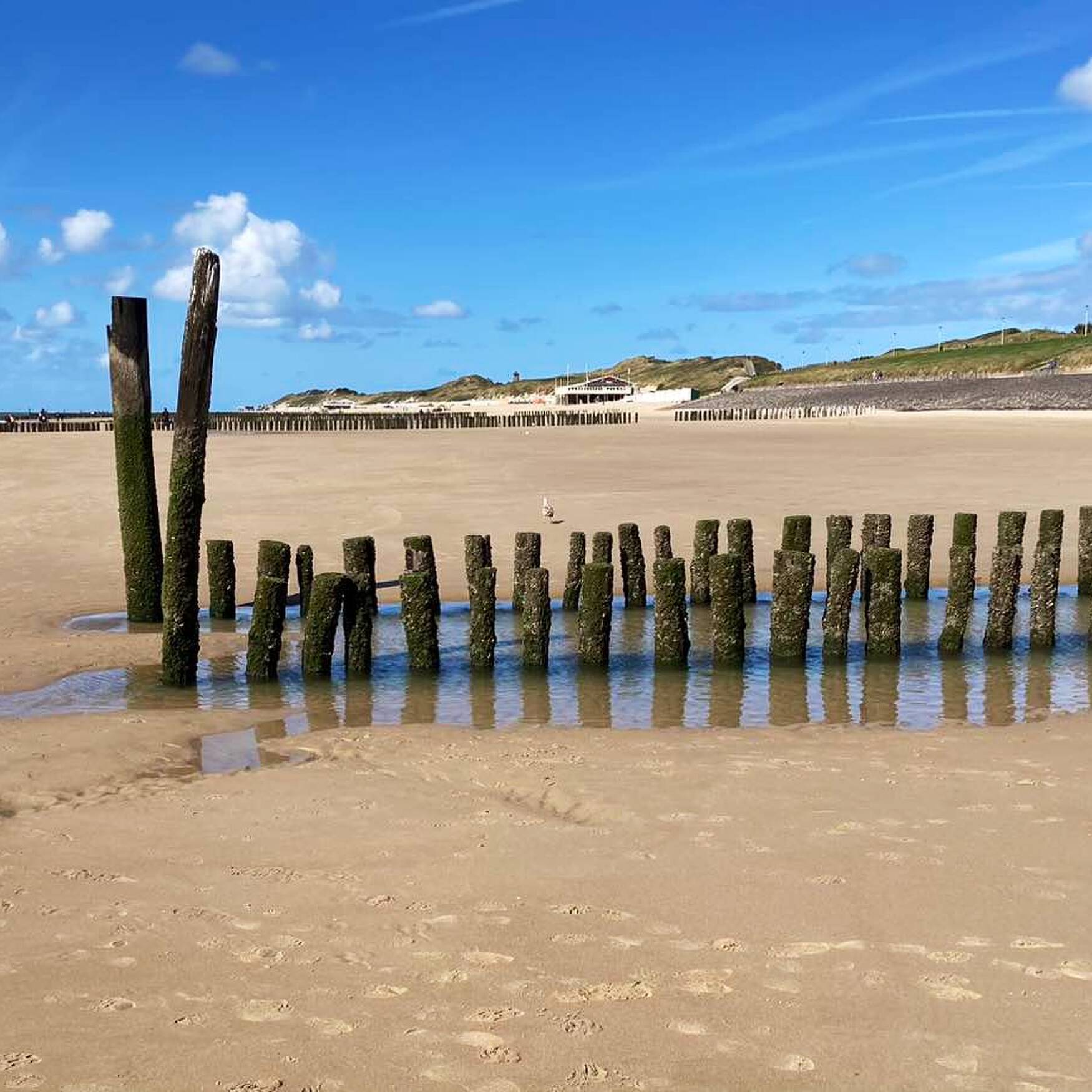 Walcheren