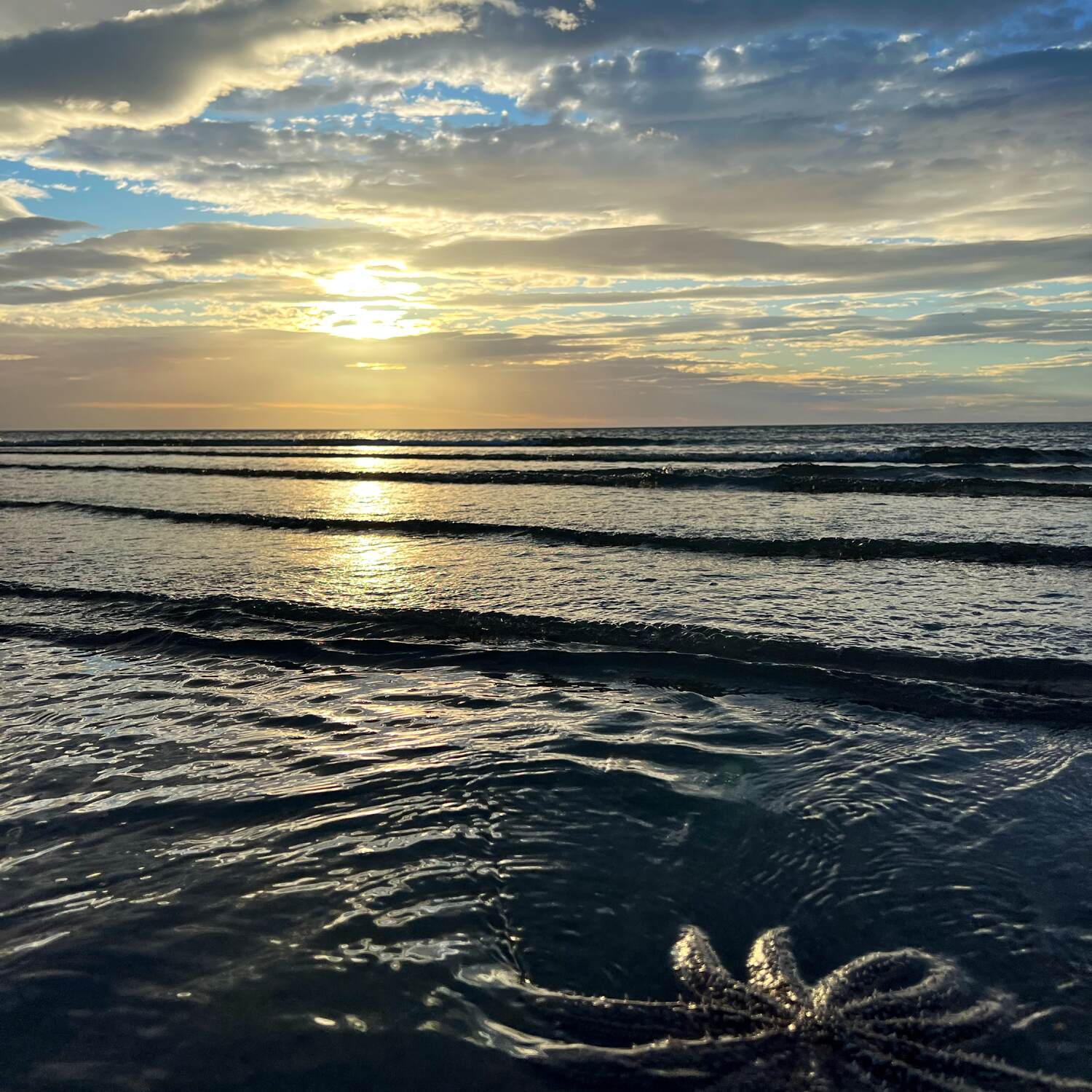 New Zealand 🇳🇿