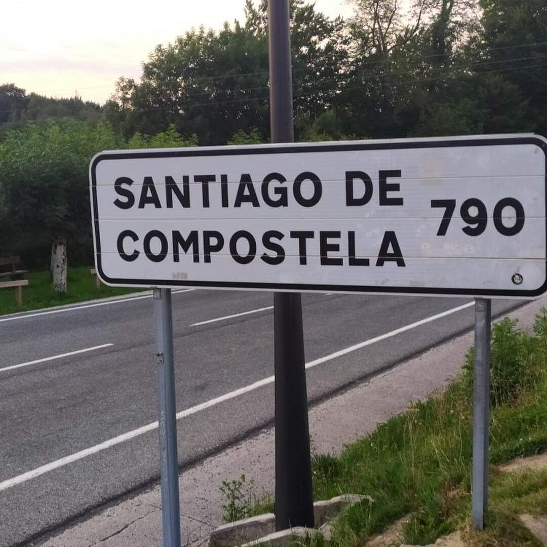 Camino 2019