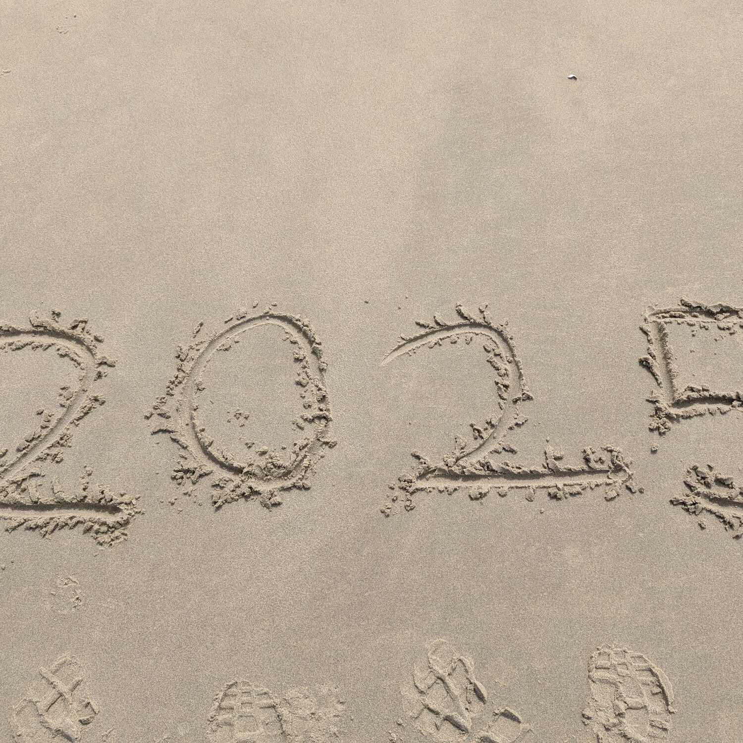 Texel 2025