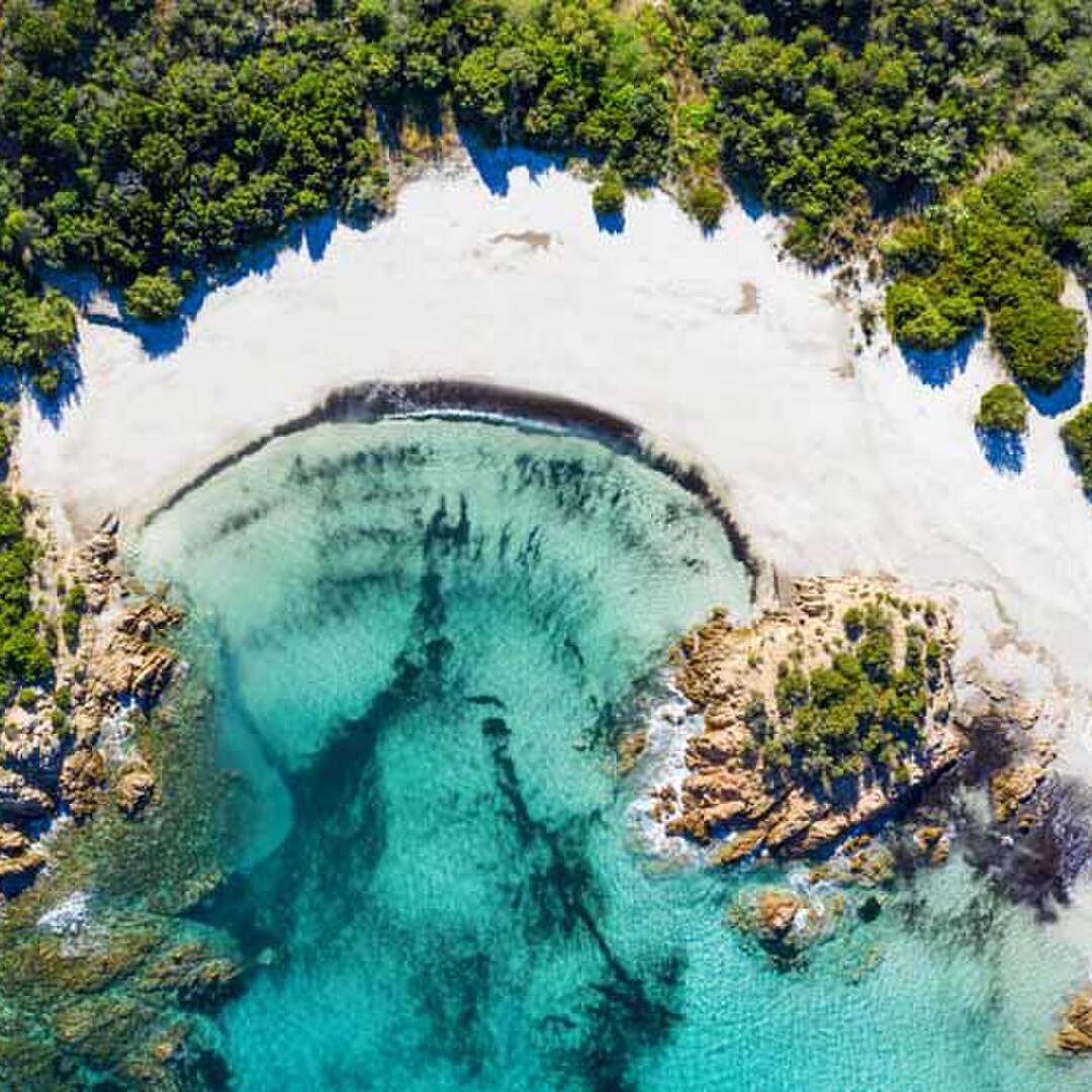 SARDINIEN
