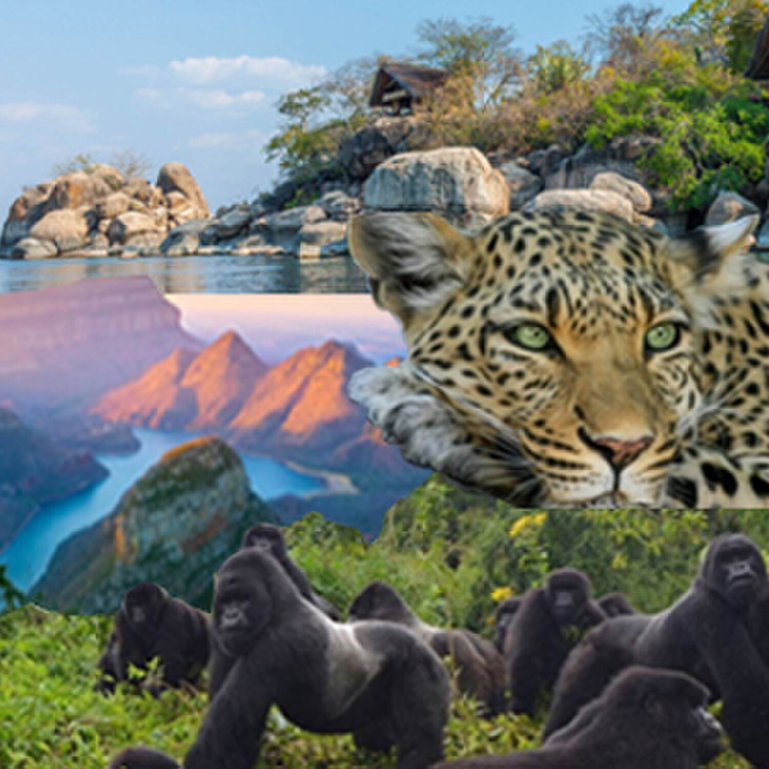 MALAWI SAMBIA SÜDAFRIKA UGANDA