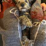 Dr. Birgit Gasselseder