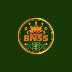 BN55 gg