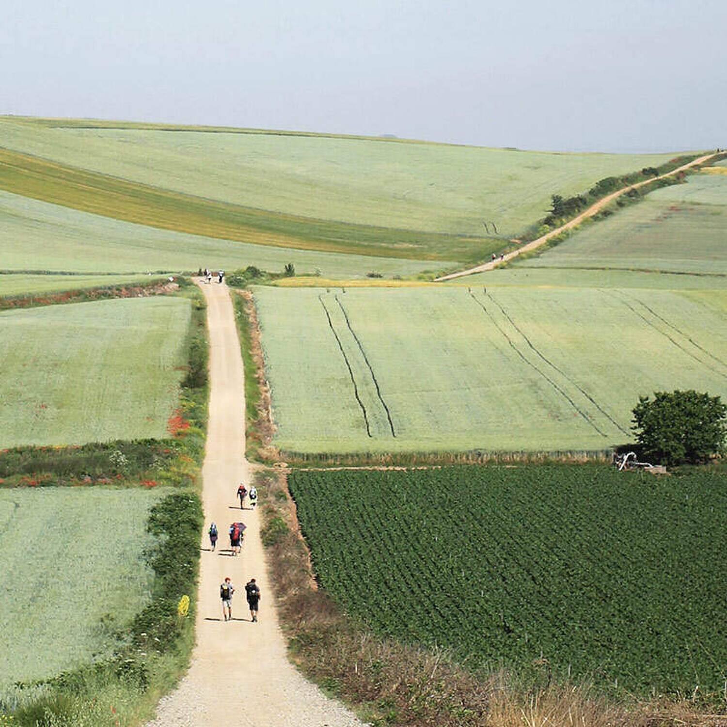 Paris to Santiago de Compostel