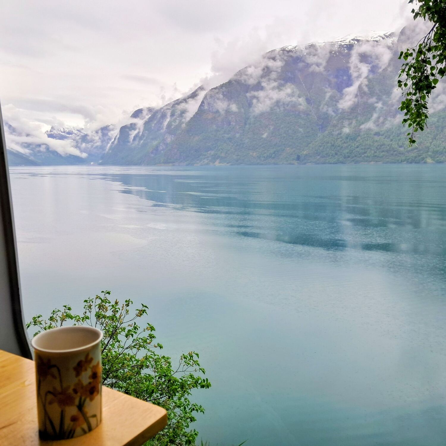 Friends and Fjords