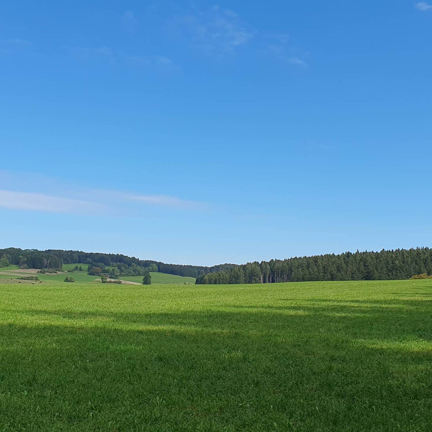 Auf zum Bodensee