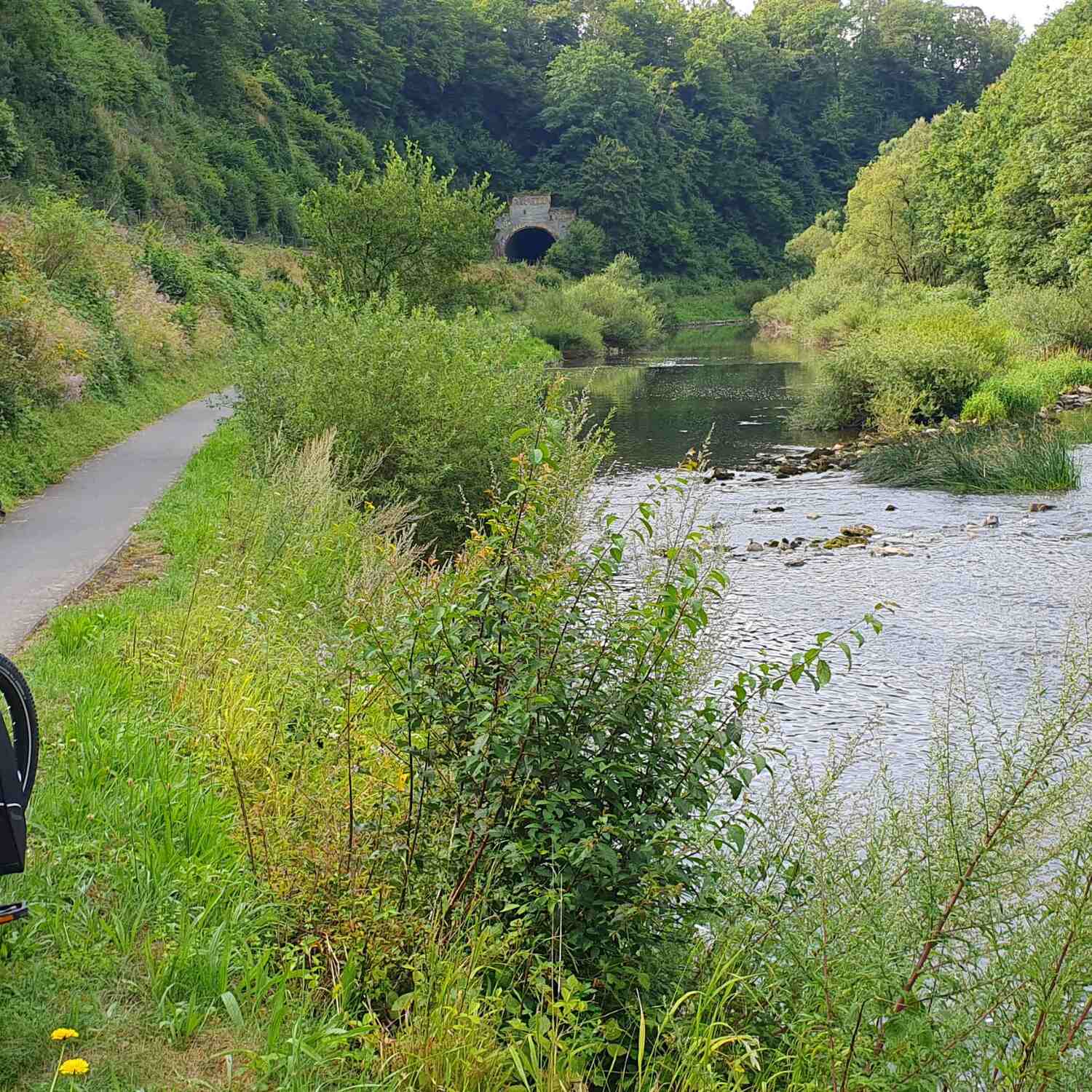 Lahnradweg