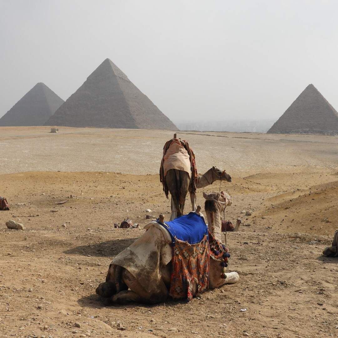Egypt, Jordan and Turkey