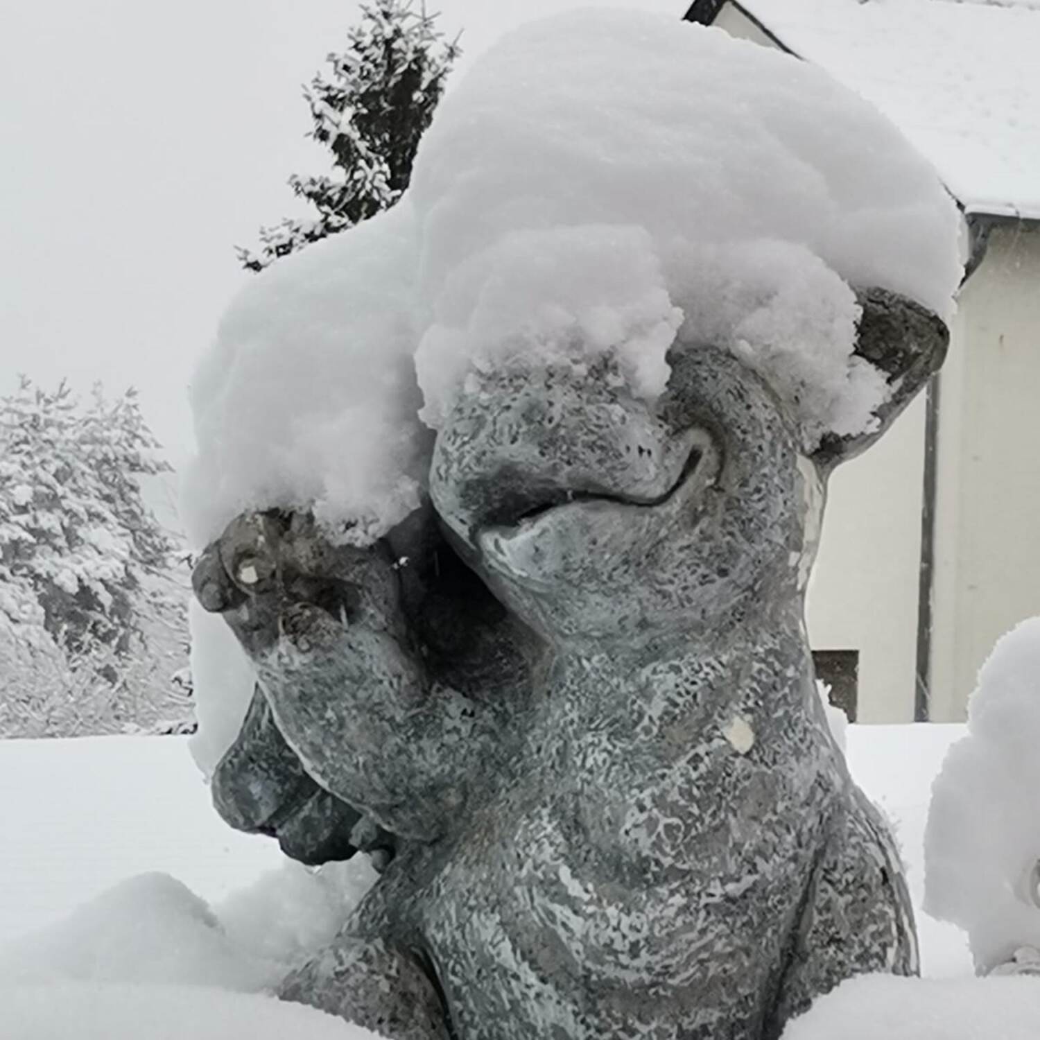 W❄️I❄️N❄️T❄️E❄️R