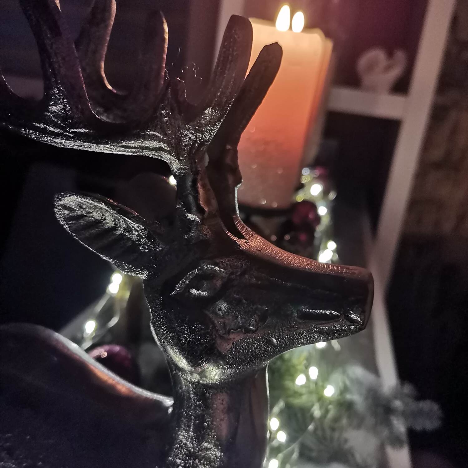 Christmas Garden