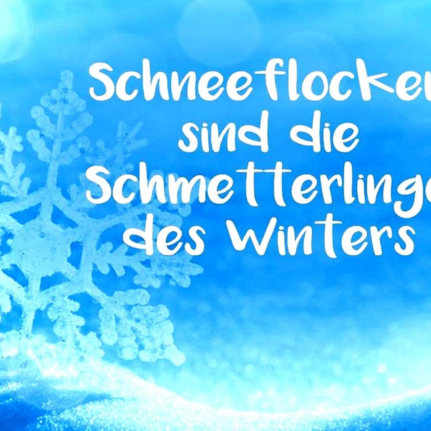 Dezembermomente