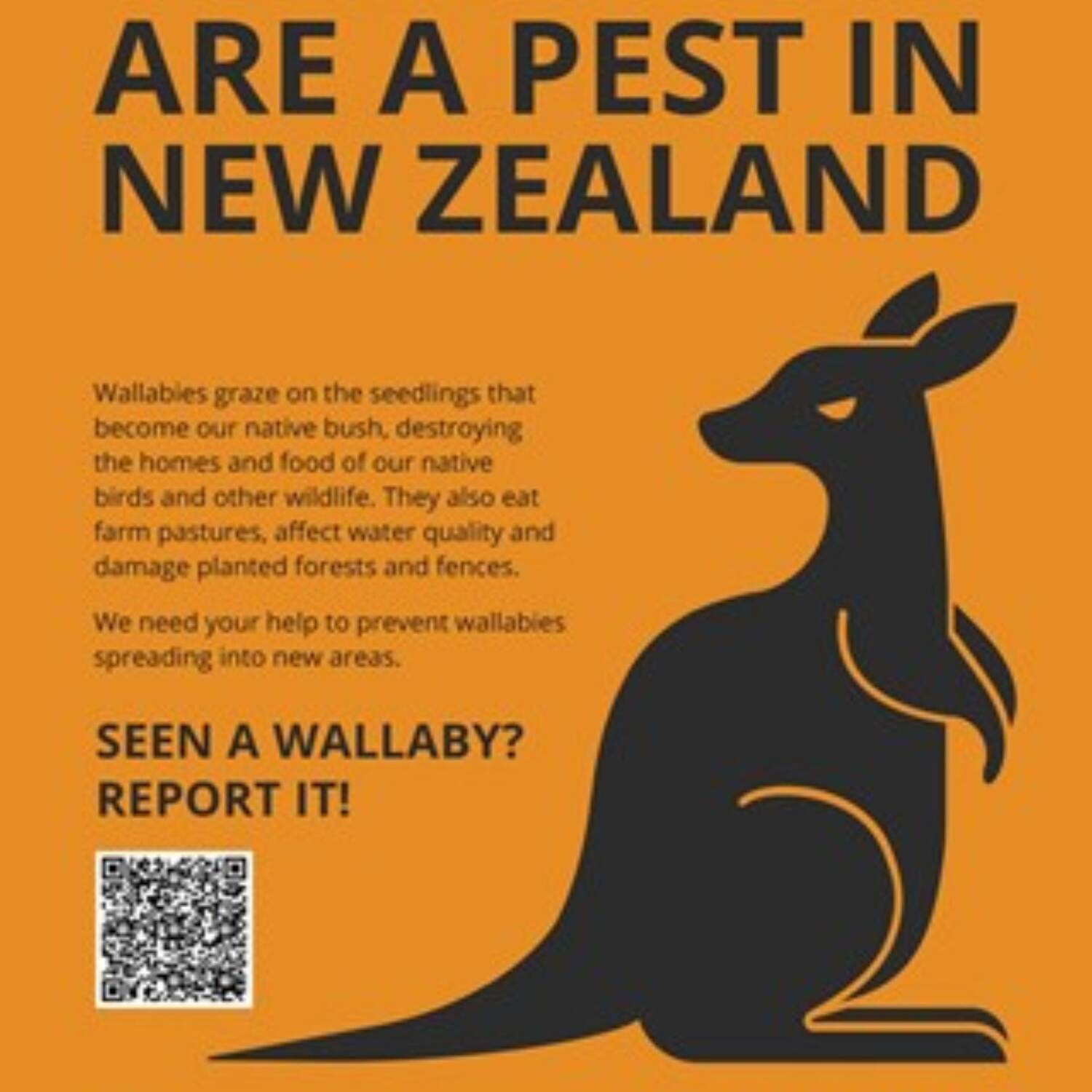 New Zealand