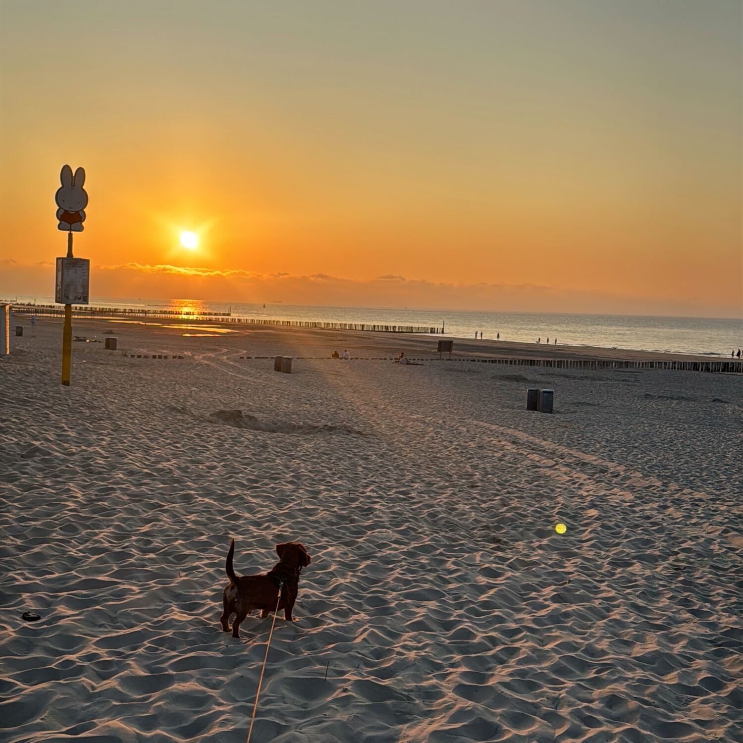 Take me back to Breskens