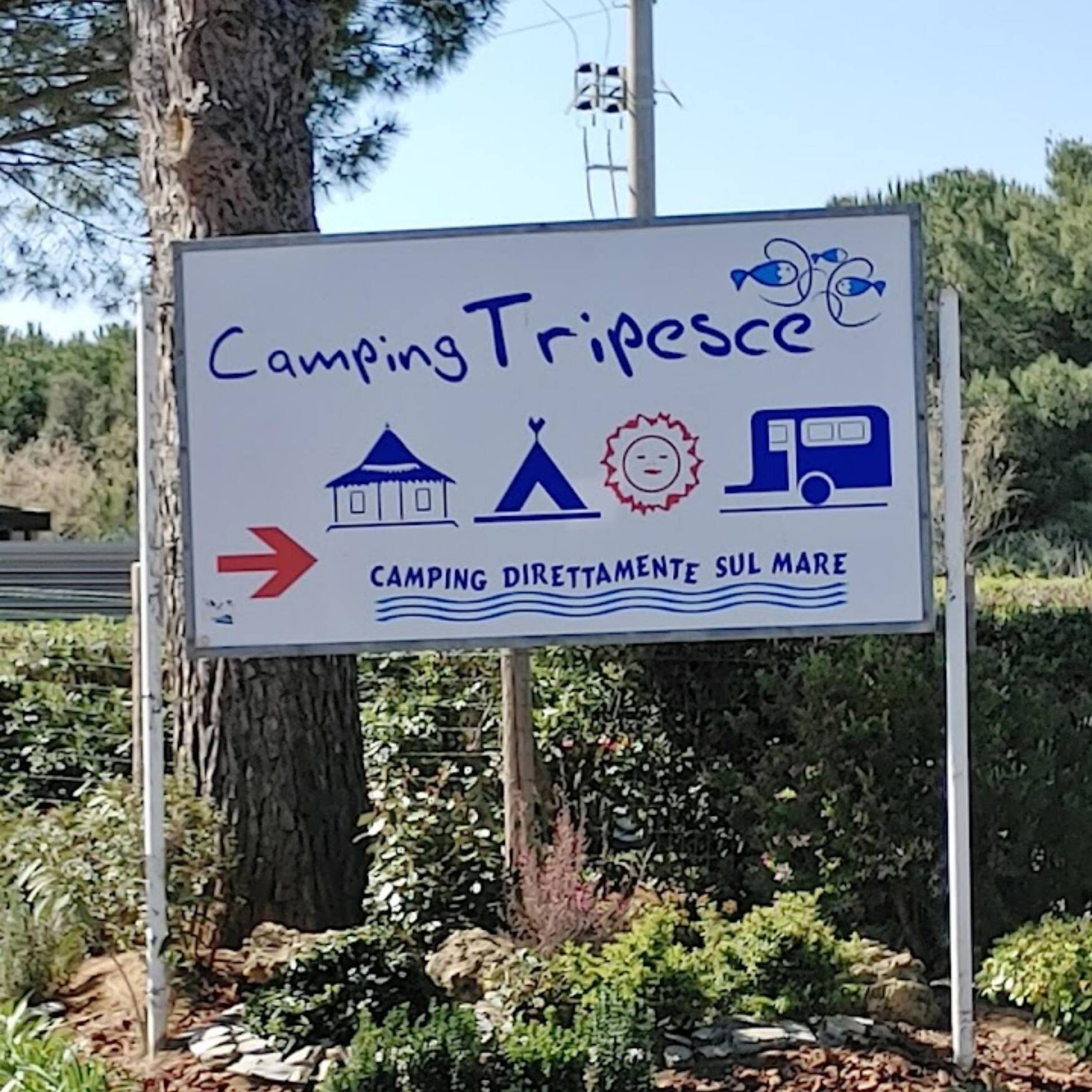 Camping