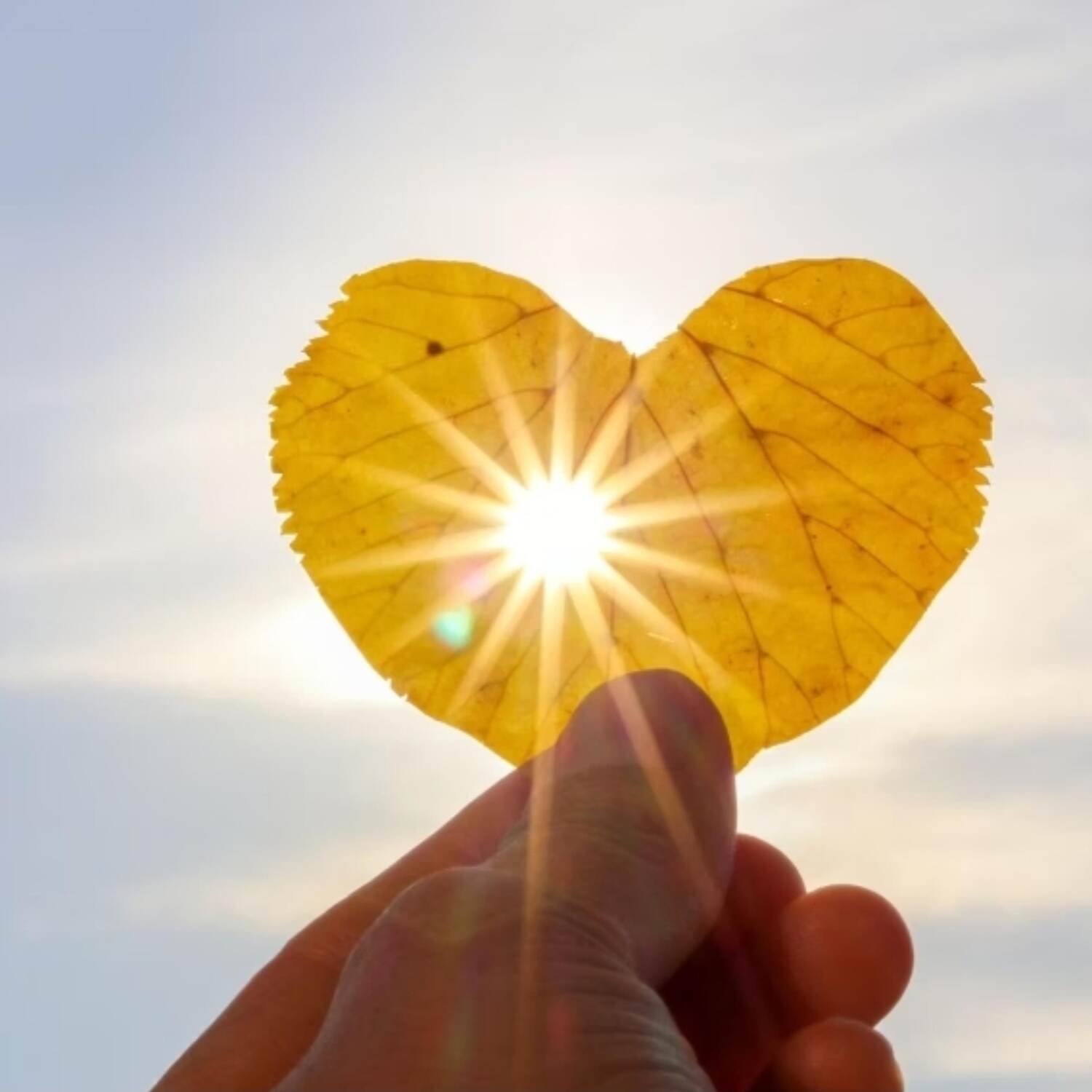 🚐Sizilien, 🎬 die dritte 😉