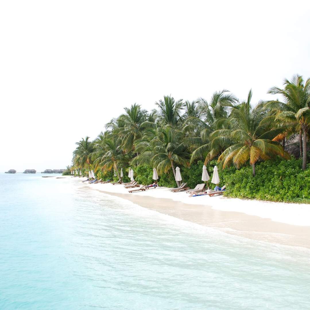 2008 Maldives