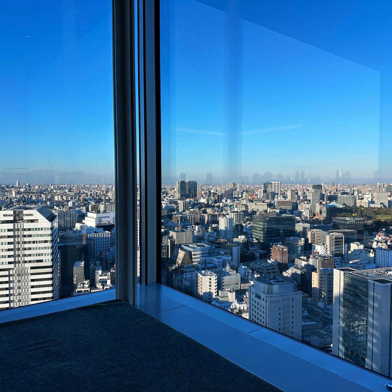 2024 Dec Tokyo work trip