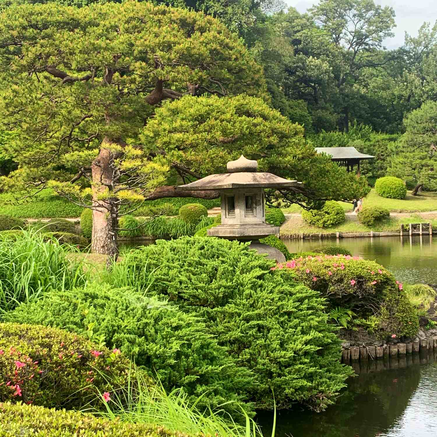 Japan 2024