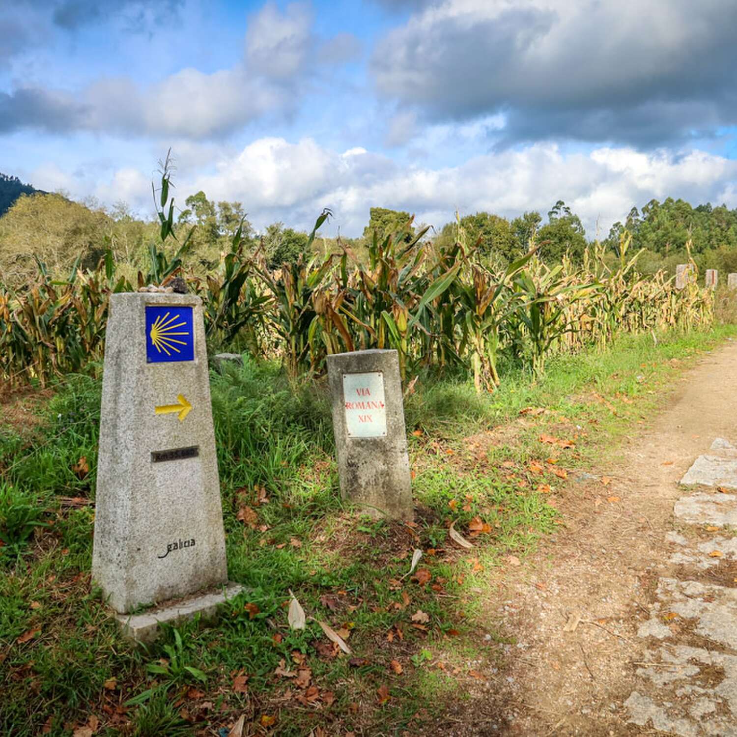 Camino Portugues Central