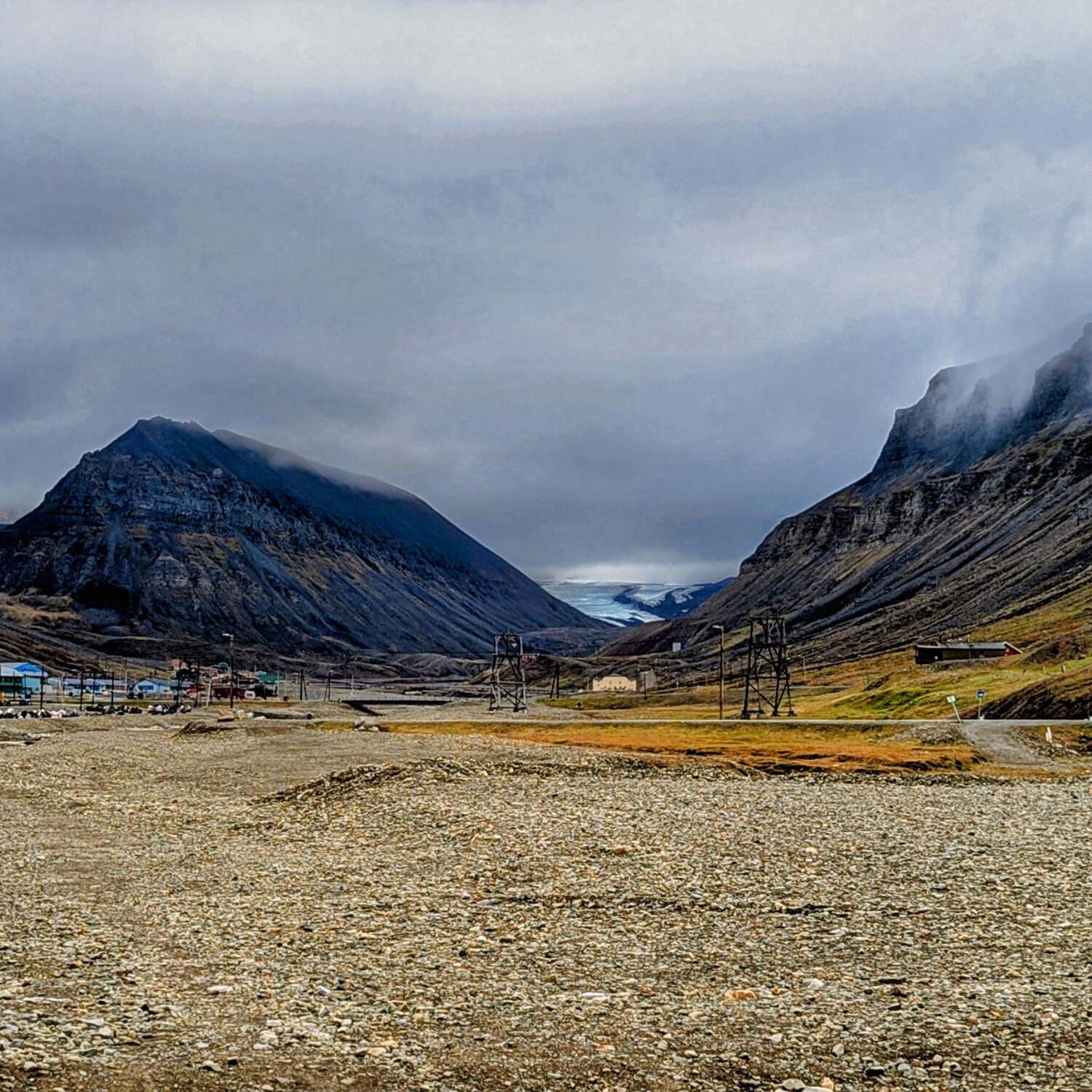 Bear, blood & blubber Part II