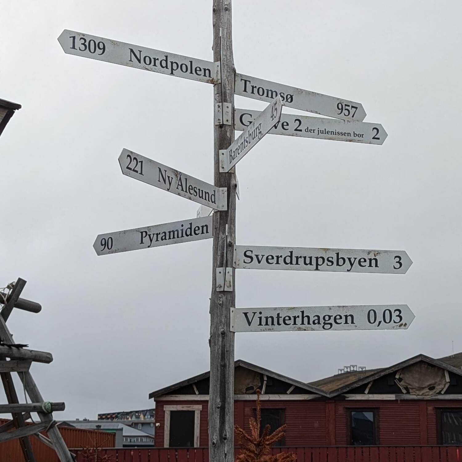 Bear, blood & blubber