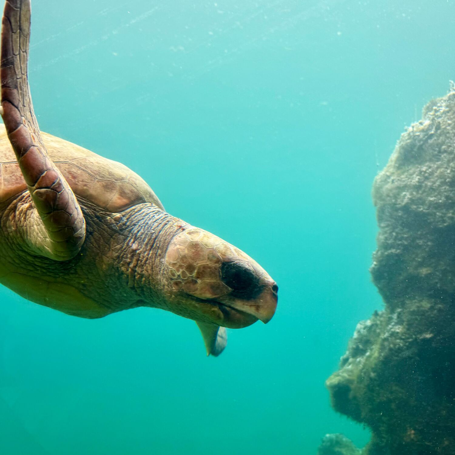 La Réunion 🇷🇪