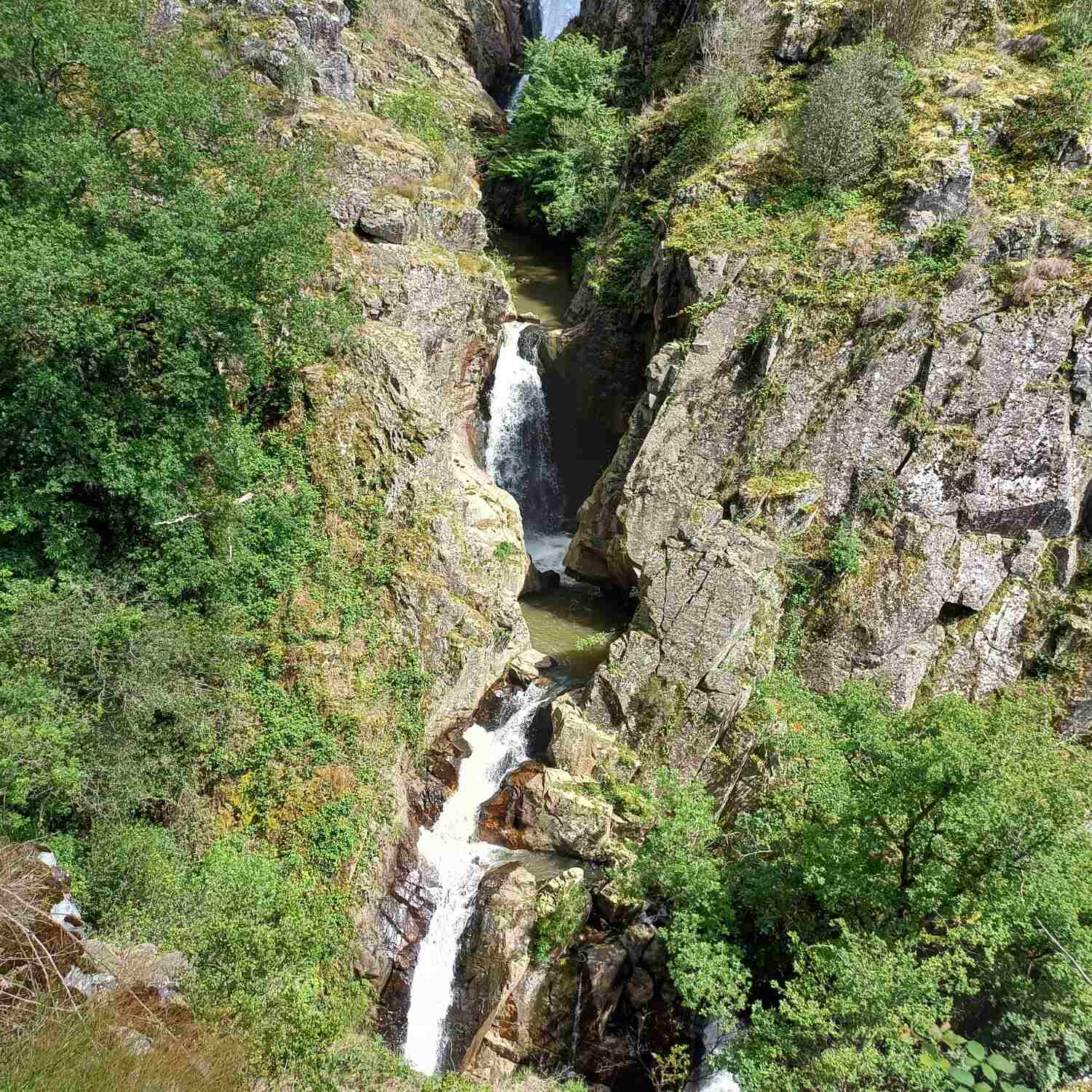 Mont carou