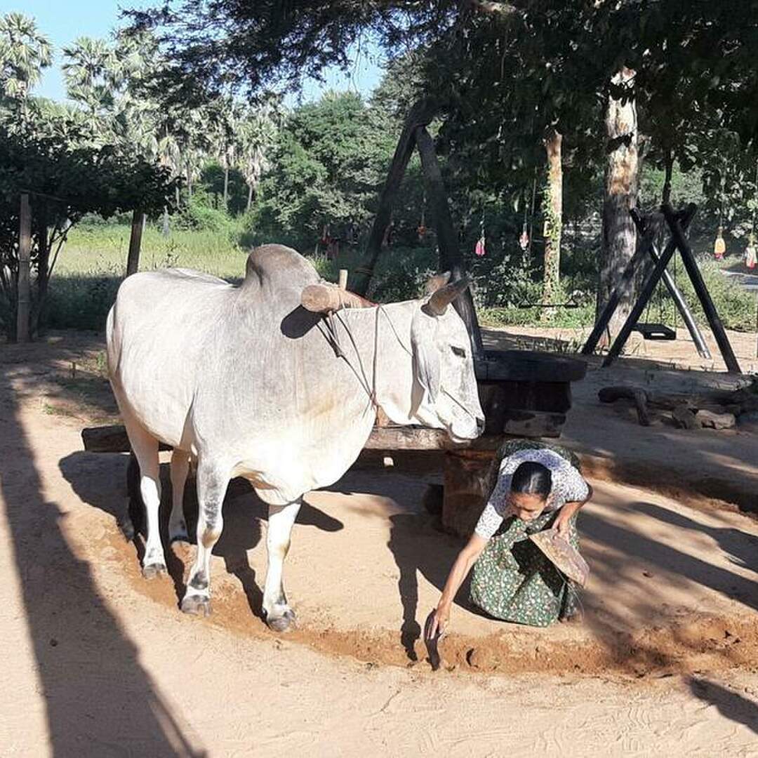 Myanmar 2019