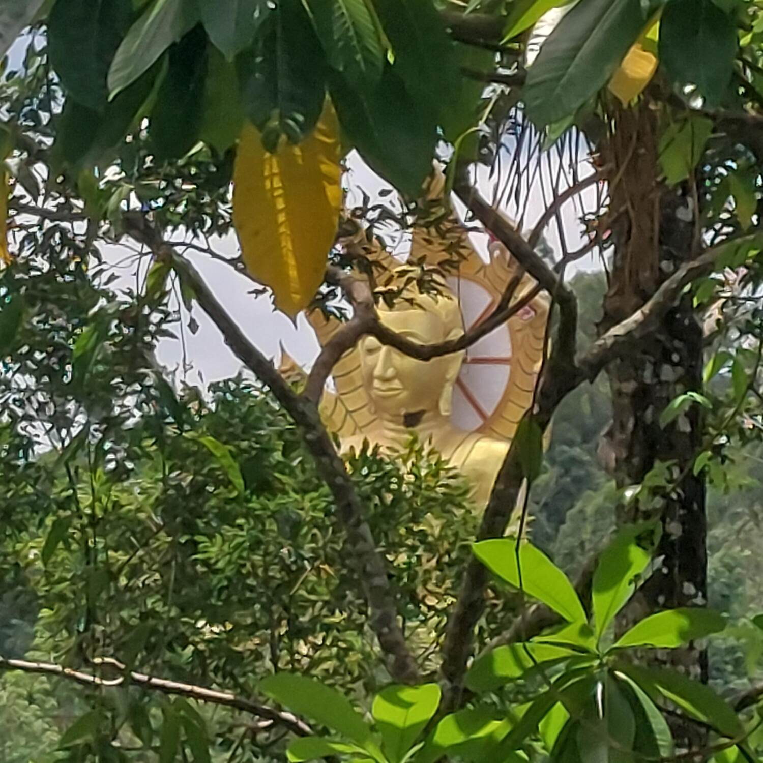 Khao Lak Thailand