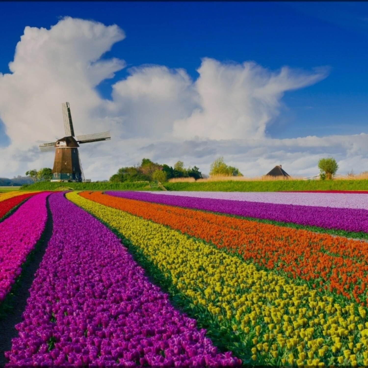 Ostertour Niederlande