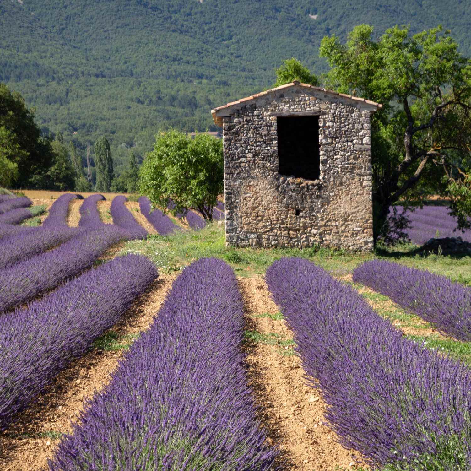 Spanien & Frankreich
