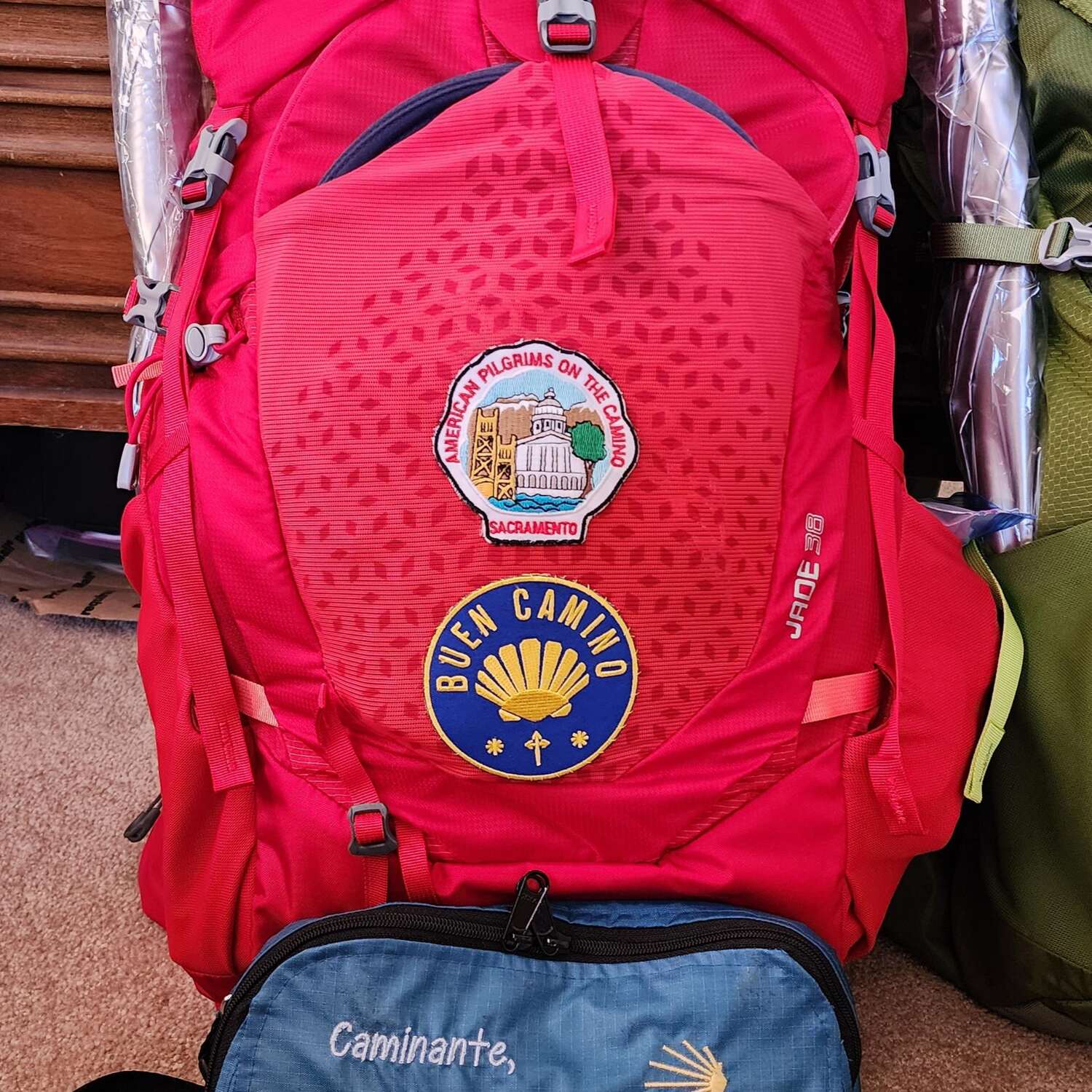 Camino de Santiago (Frances)