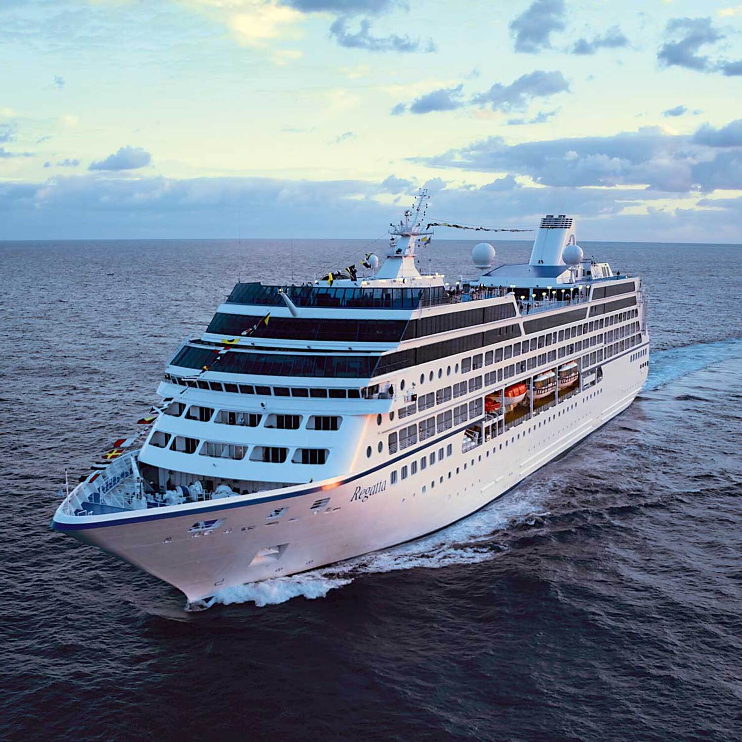 Oceania West Coast Vines