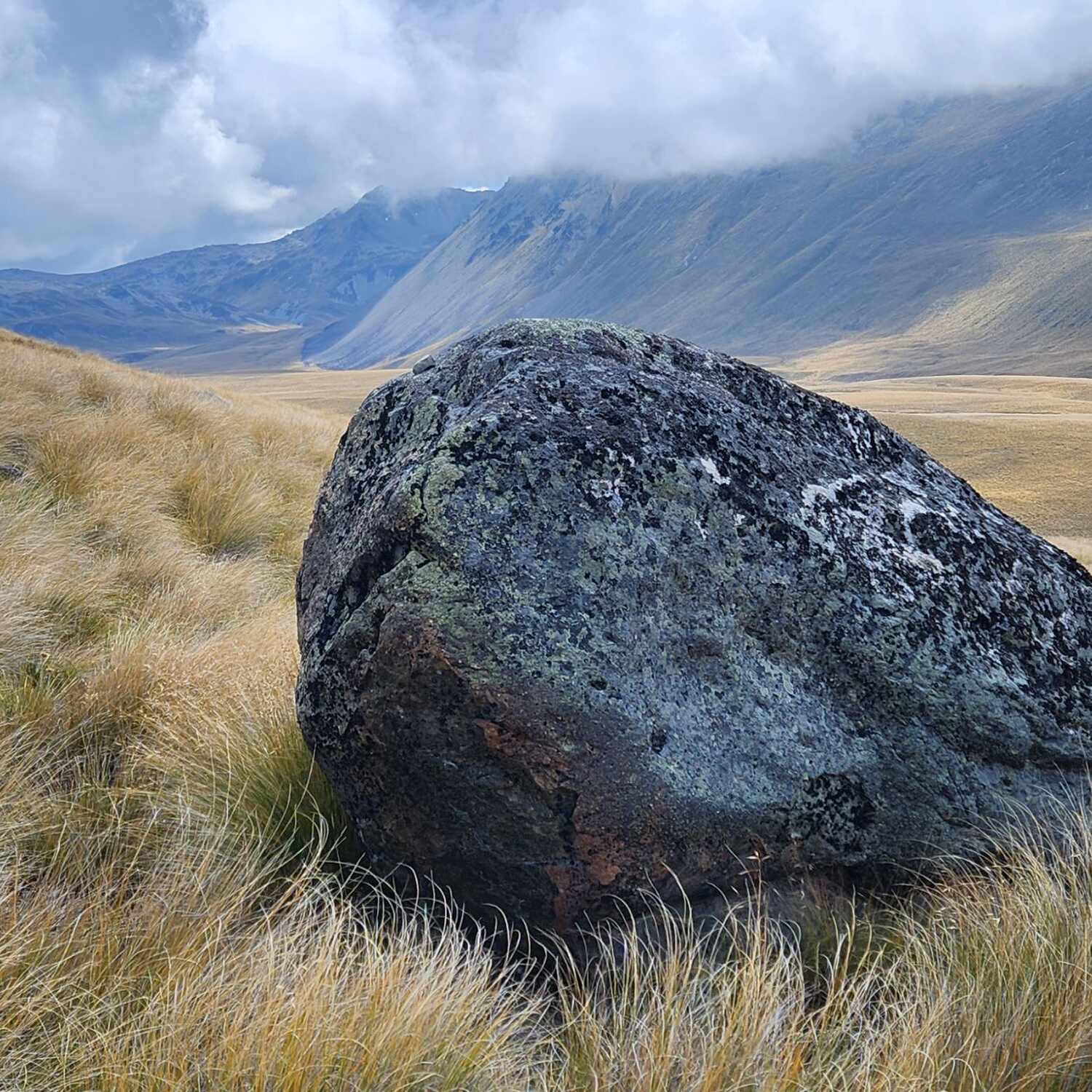 New Zealand - Te Araroa