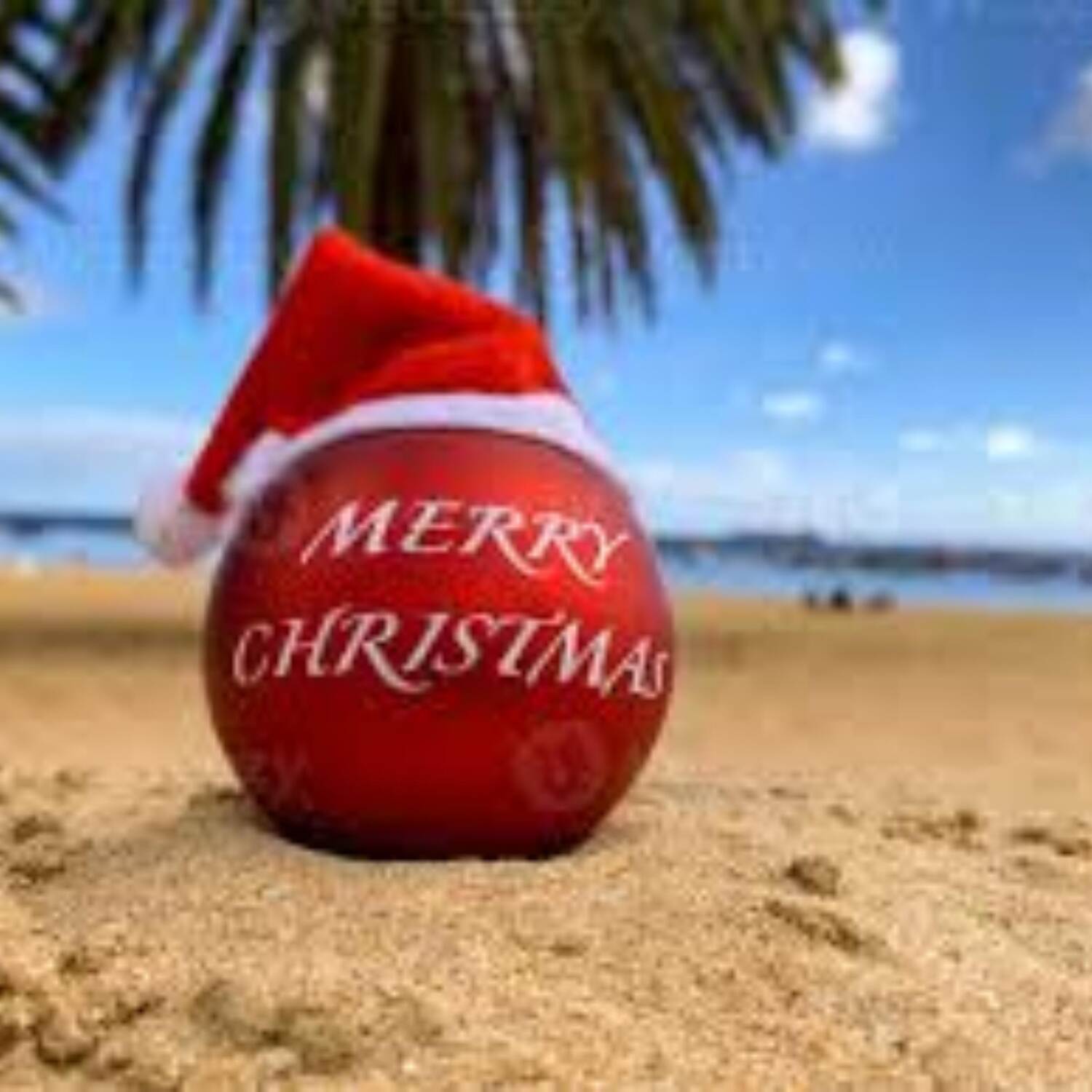 Weihnachtstour/Mein Schiff 7