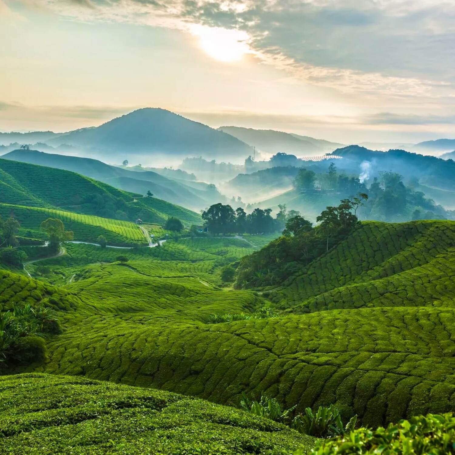 Malaysia und Indonesien