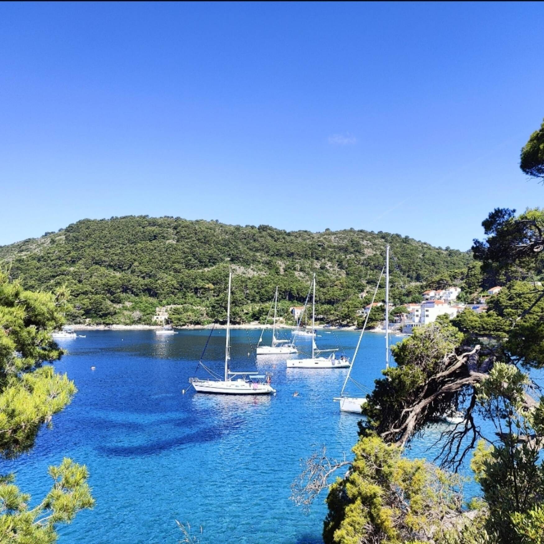 NAVIGAZIONE ⛵ IN CROAZIA