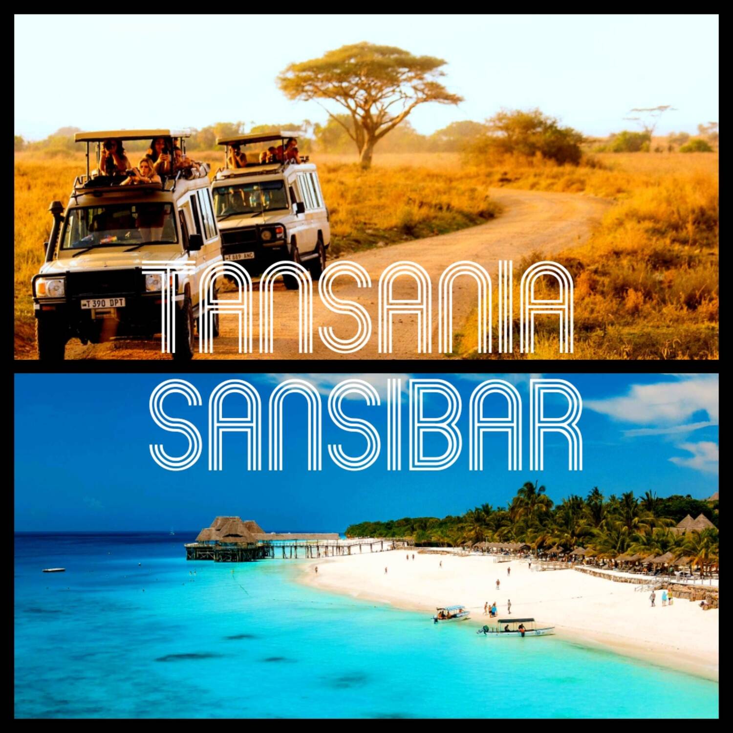 Tansania & Sansibar 🇹🇿🐘🦒🦁