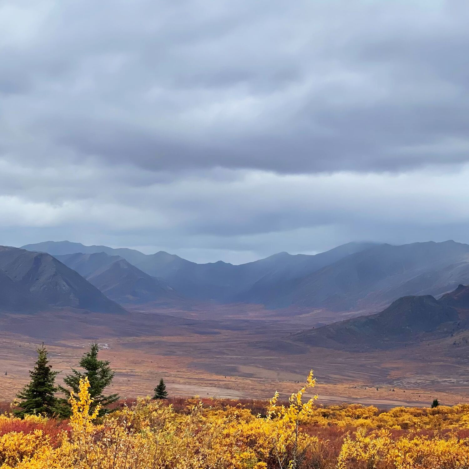 Yukon / Alaska Indian Summer