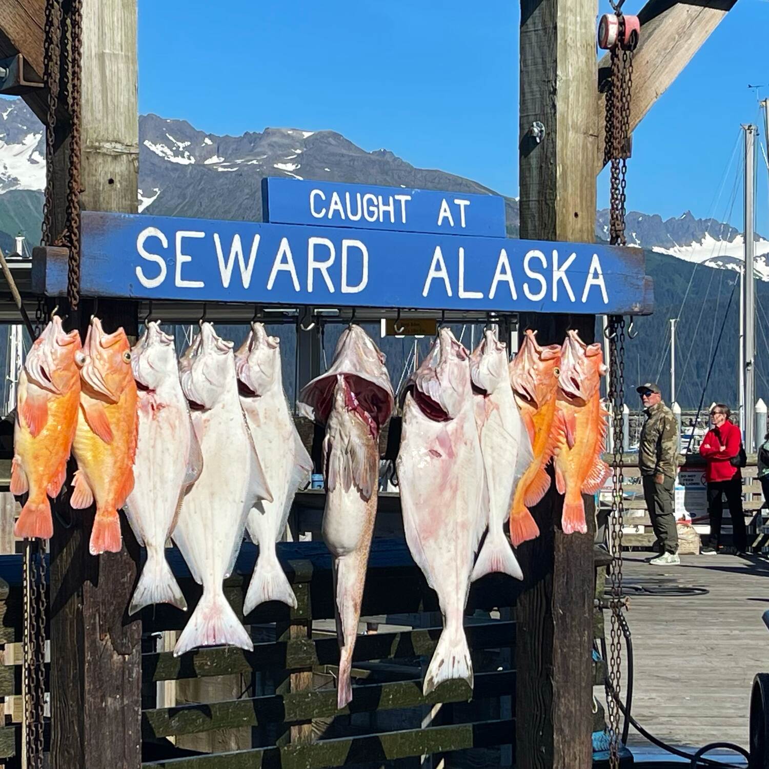 Alaska - Spontane Reise