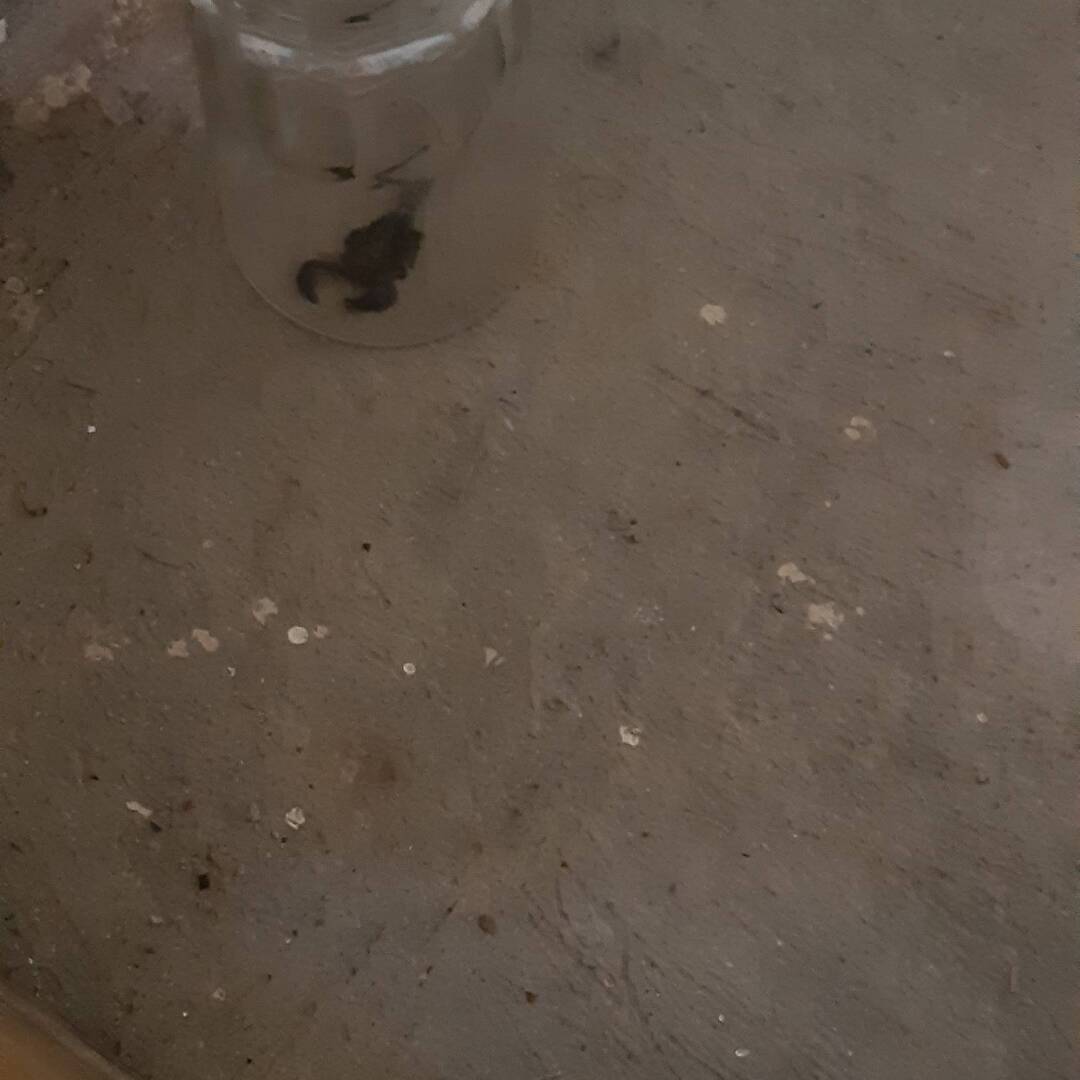 Ecuador und Galapagos