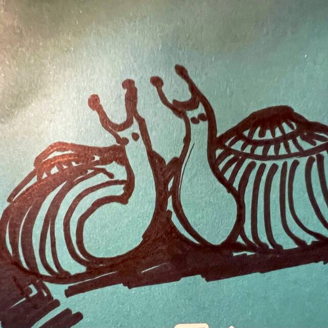 Kauri Snail Pilgrims