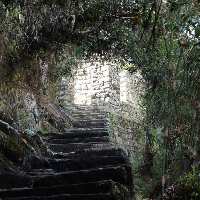 See You in Machu Picchu