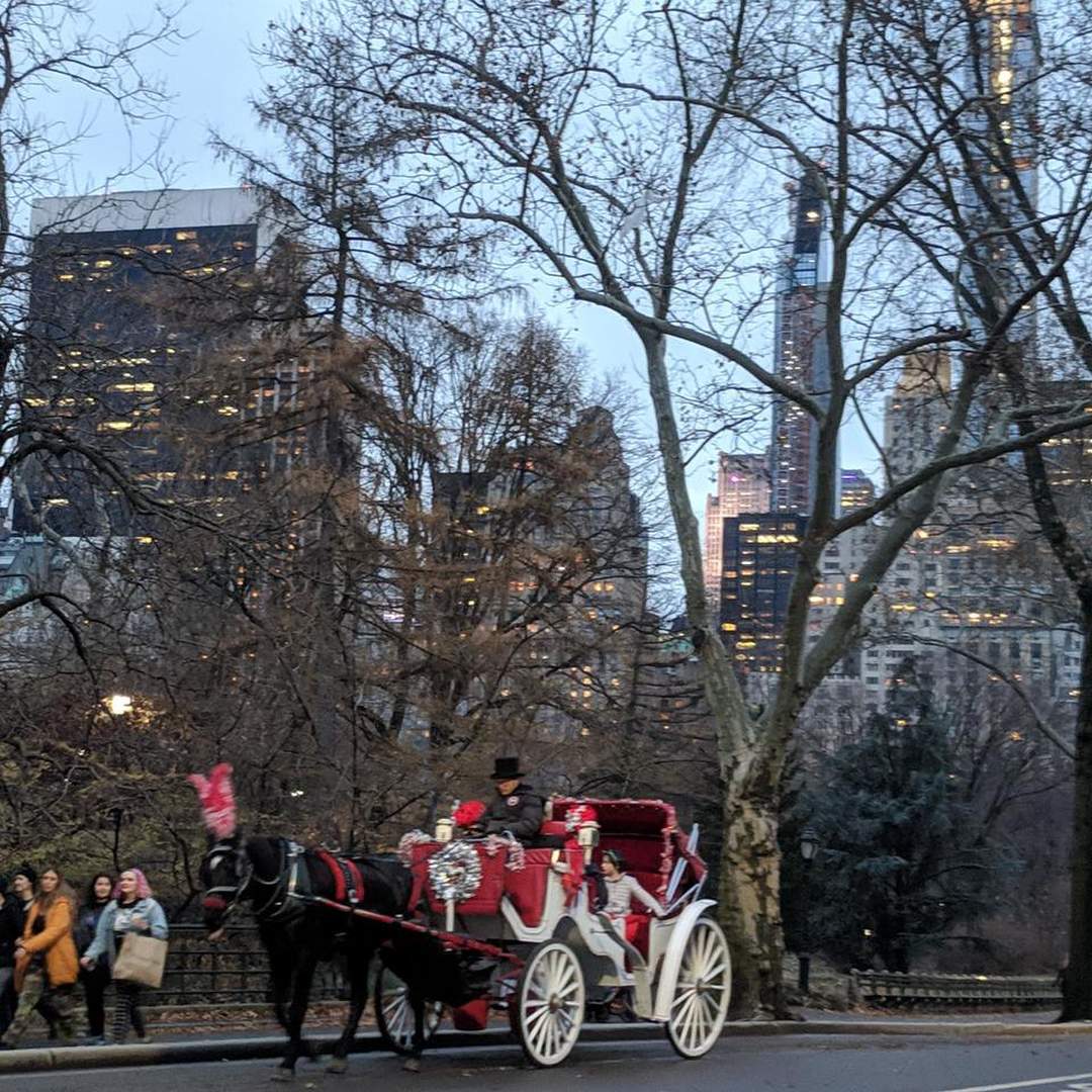 Christmas - New York City 2018