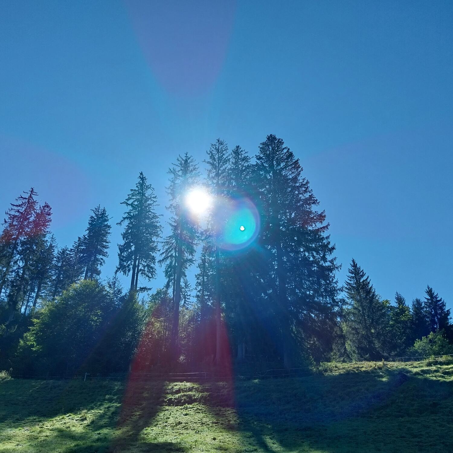Mittagberg und Bärenköpfle