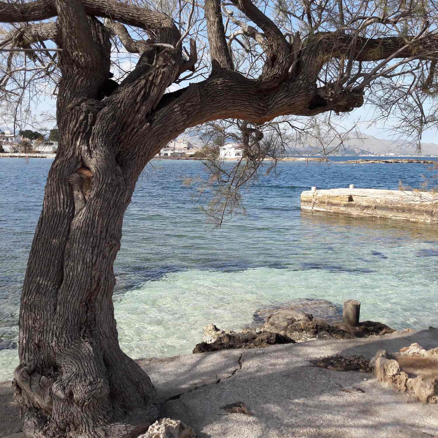 Magamarsch Mallorca
